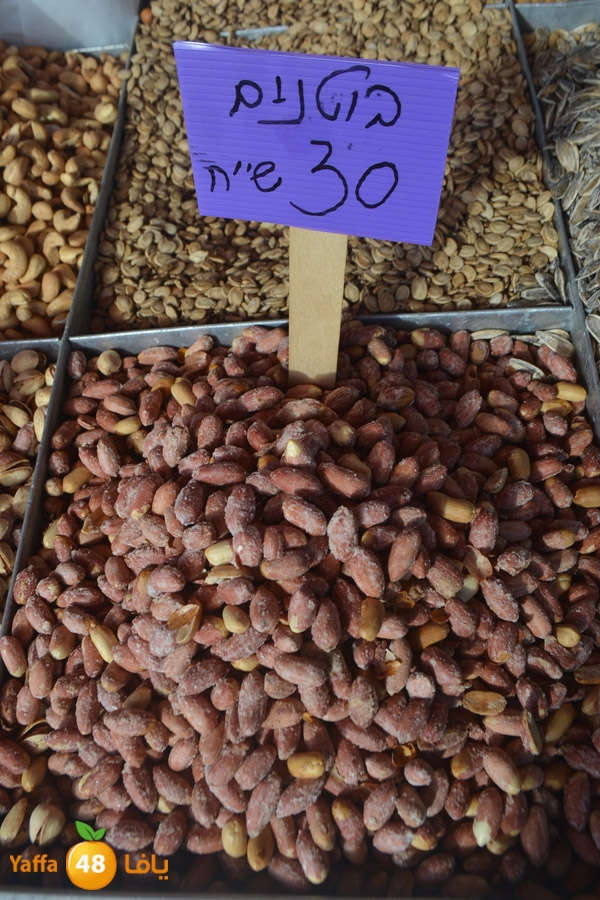 mokasaratshadyjamal (7).JPG